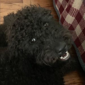 Meet your Posher, Angela